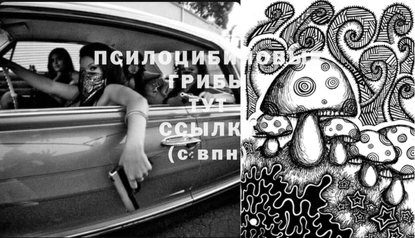 бошки Ладушкин