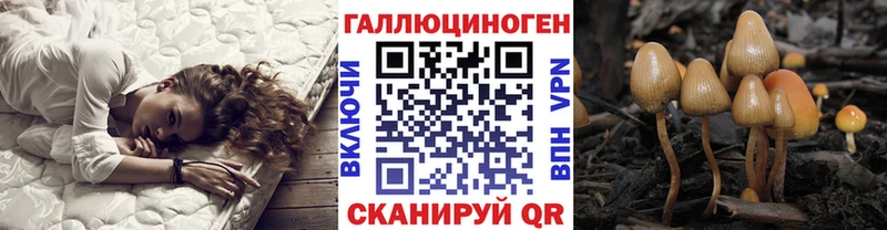 МЕГА маркетплейс  Моршанск  нарко площадка формула  Галлюциногенные грибы Cubensis 
