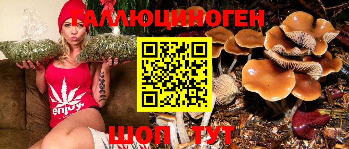 Галлюциногенные грибы GOLDEN TEACHER Моршанск