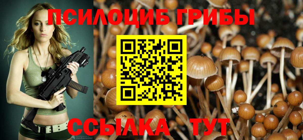 Галлюциногенные грибы Cubensis  Моршанск 