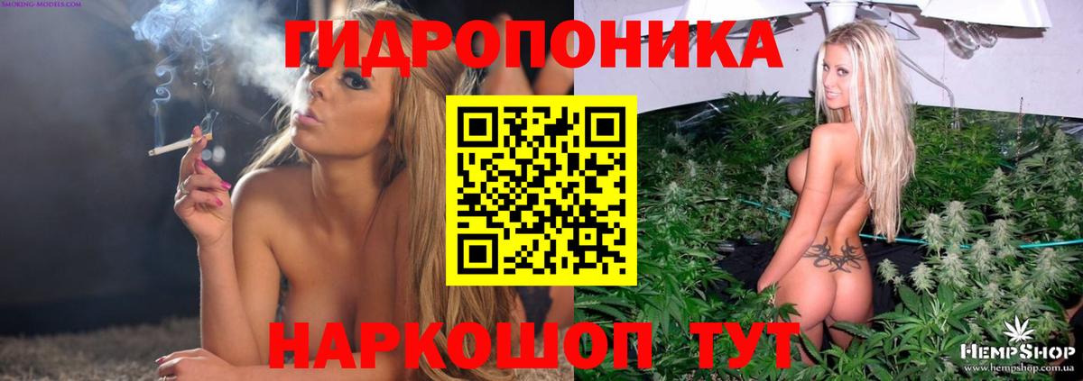 Марихуана семена Моршанск
